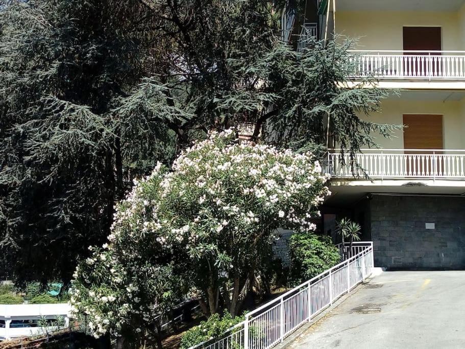 Alma Vacanza Rapallo Esterno foto